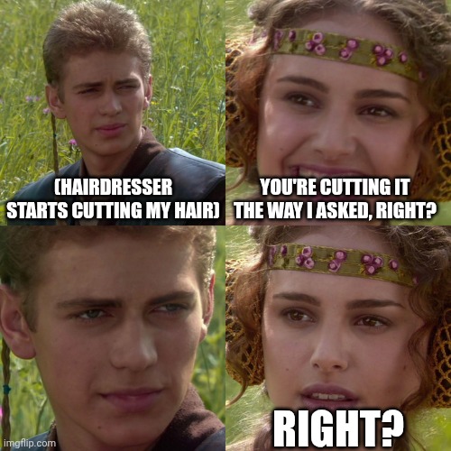 They never seem to listen | (HAIRDRESSER STARTS CUTTING MY HAIR); YOU'RE CUTTING IT THE WAY I ASKED, RIGHT? RIGHT? | image tagged in anakin padme 4 panel,memes,why are you reading the tags | made w/ Imgflip meme maker