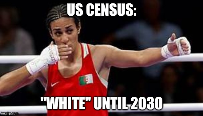 US CENSUS:; "WHITE" UNTIL 2030 | made w/ Imgflip meme maker