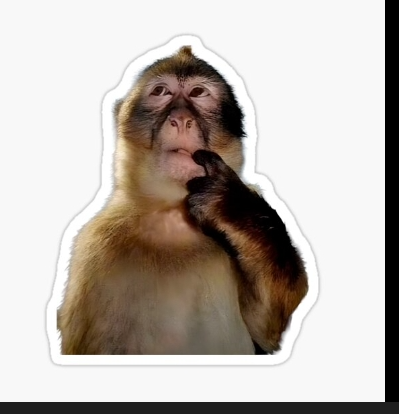 Thinking monkey Blank Meme Template