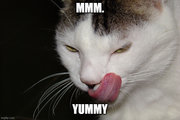 YUMMY | MMM. YUMMY | image tagged in yummy | made w/ Imgflip meme maker