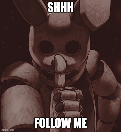 springtrap | SHHH; FOLLOW ME | image tagged in fnaf 3 | made w/ Imgflip meme maker