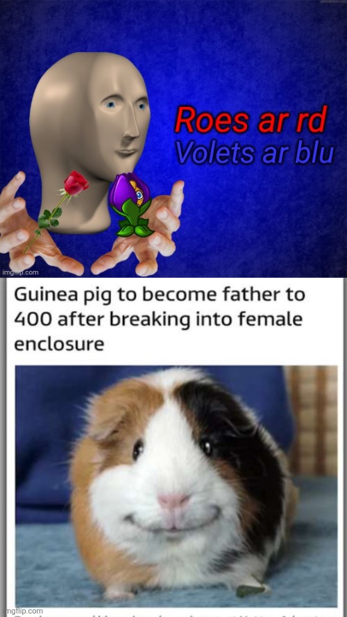 image tagged in roes ar rd | made w/ Imgflip meme maker