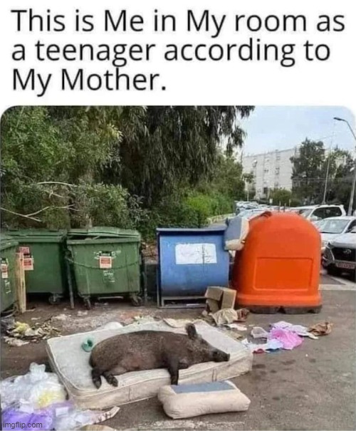 Oink | image tagged in teenage br meme | made w/ Imgflip meme maker