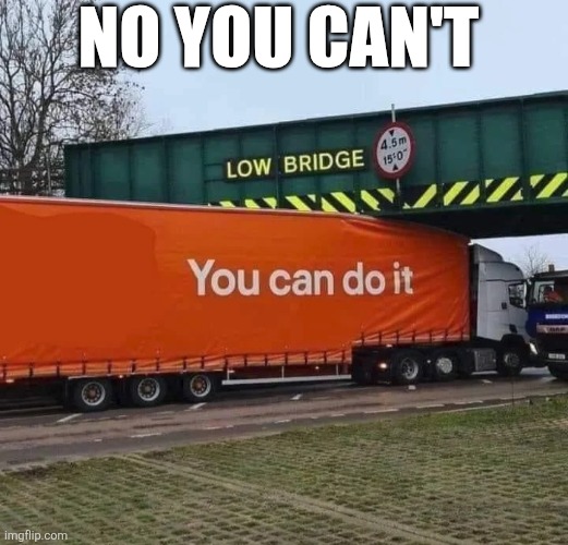 No You Can't | NO YOU CAN'T | image tagged in chrisjoines1 | made w/ Imgflip meme maker