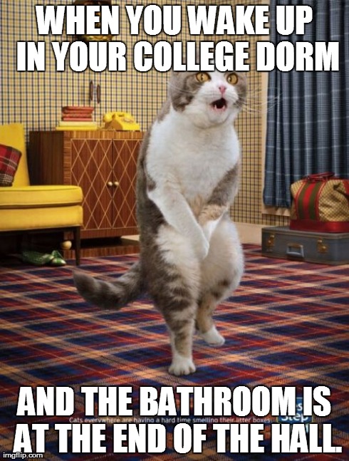 Gotta Go Cat Meme | WHEN YOU WAKE UP IN YOUR COLLEGE DORM AND THE BATHROOM IS AT THE END OF THE HALL. | image tagged in memes,gotta go cat | made w/ Imgflip meme maker