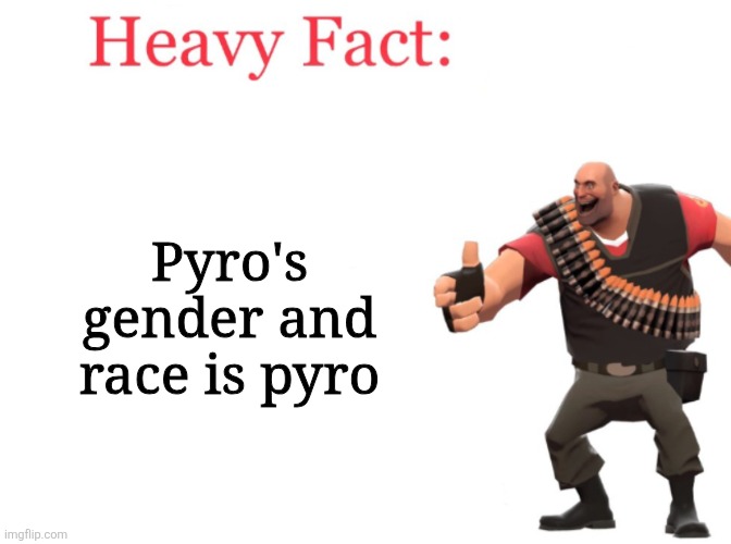 Pyro is a pyro | Pyro's gender and race is pyro | image tagged in heavy fact | made w/ Imgflip meme maker