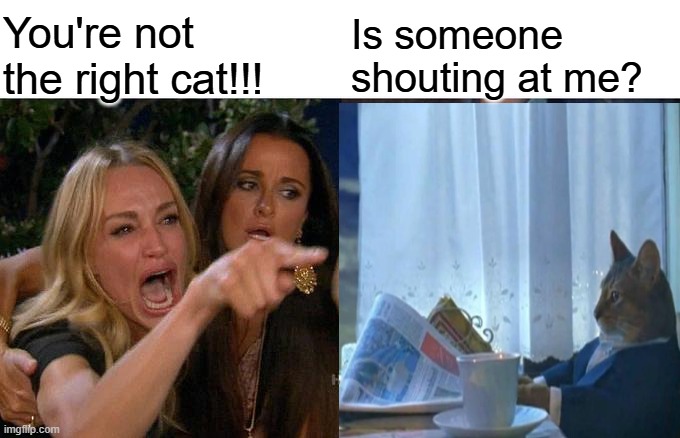 Meme Intruder | You're not the right cat!!! Is someone shouting at me? | image tagged in memes,woman yelling at cat,i should buy a boat cat | made w/ Imgflip meme maker
