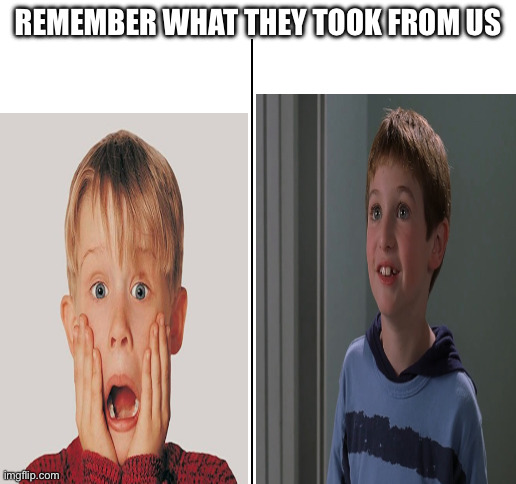 Home alone 4 sucked | REMEMBER WHAT THEY TOOK FROM US | image tagged in blank white template | made w/ Imgflip meme maker