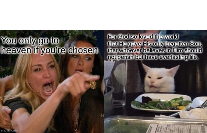 Woman Yelling At Cat | For God so loved the world that He gave His only begotten Son, that whoever believes in Him should not perish but have everlasting life. You only go to heaven if you're chosen | image tagged in memes,woman yelling at cat | made w/ Imgflip meme maker