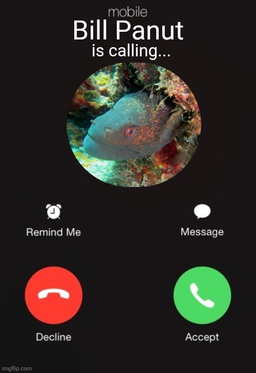 Incoming call | Bill Panut; is calling... | image tagged in incoming call | made w/ Imgflip meme maker