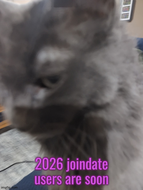 . | 2026 joindate users are soon | image tagged in 32's cat | made w/ Imgflip meme maker