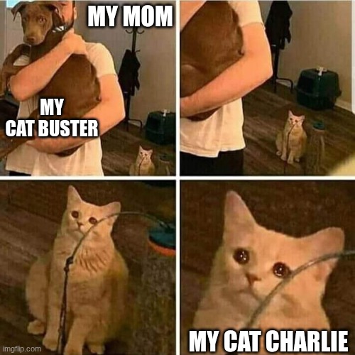 Sad Cat Holding Dog | MY MOM; MY CAT BUSTER; MY CAT CHARLIE | image tagged in sad cat holding dog | made w/ Imgflip meme maker