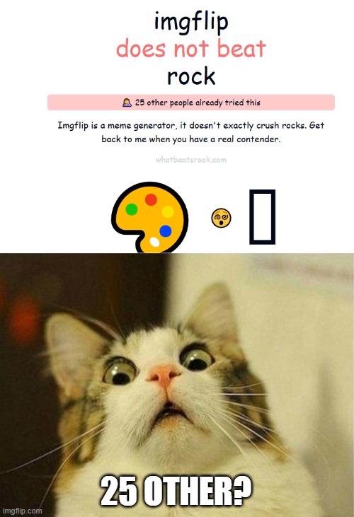 25 OTHER? | image tagged in memes,scared cat | made w/ Imgflip meme maker