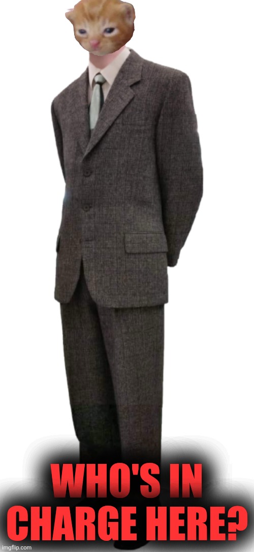 Herbert in the house | WHO'S IN CHARGE HERE? | image tagged in bingus in suit,herbert | made w/ Imgflip meme maker