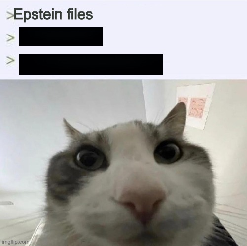 Cat looks inside | Epstein files | image tagged in cat looks inside | made w/ Imgflip meme maker