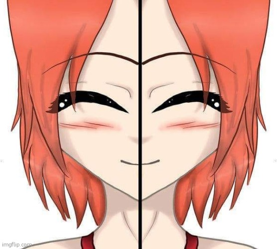 anime girl (imma use dis for template) | image tagged in anime girl | made w/ Imgflip meme maker