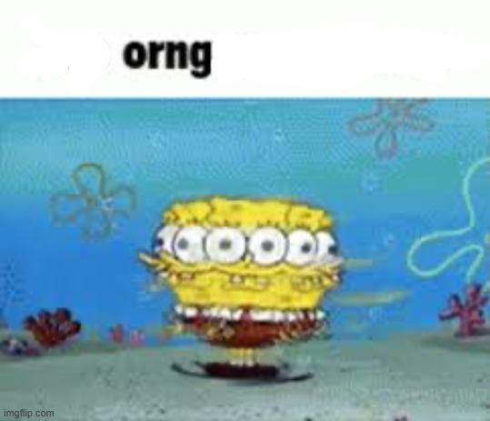 Sop orngr apparatus | image tagged in sop orngr apparatus | made w/ Imgflip meme maker