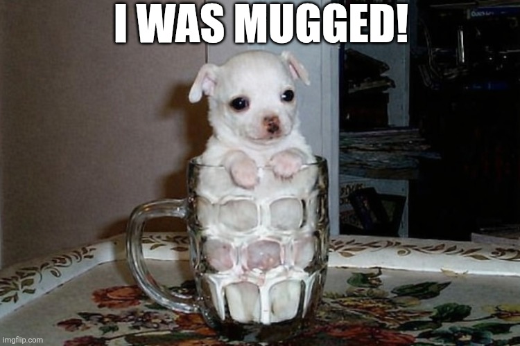 I Was Mugged! | I WAS MUGGED! | image tagged in chrisjoines1 | made w/ Imgflip meme maker