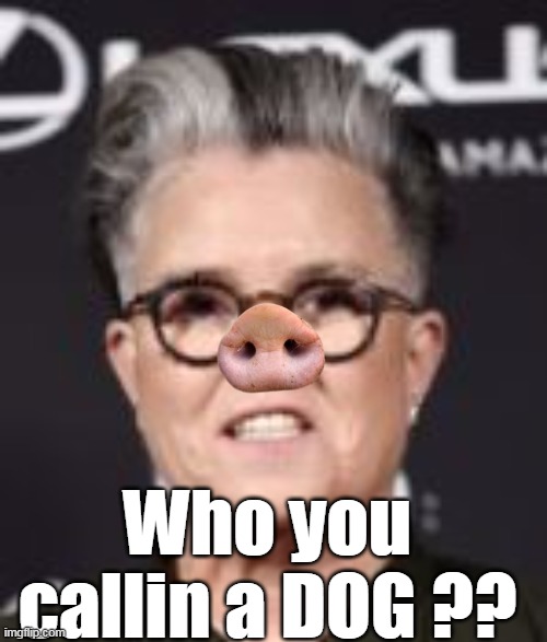 Who you callin a DOG ?? | made w/ Imgflip meme maker