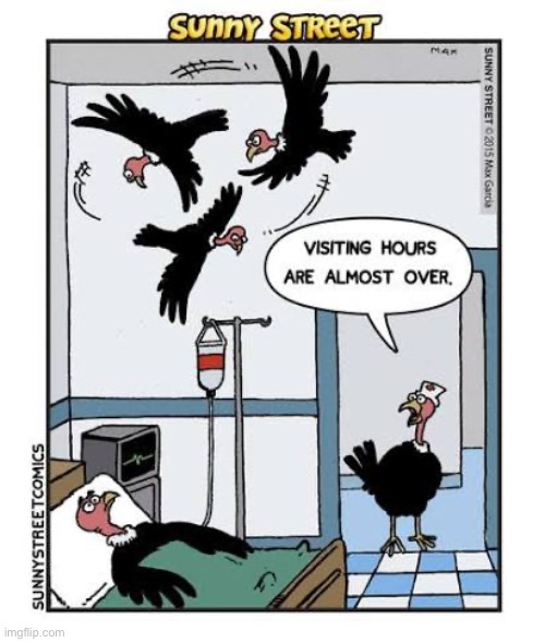 image tagged in comics,sunny street,hospital,buzzards,visiting hours | made w/ Imgflip meme maker