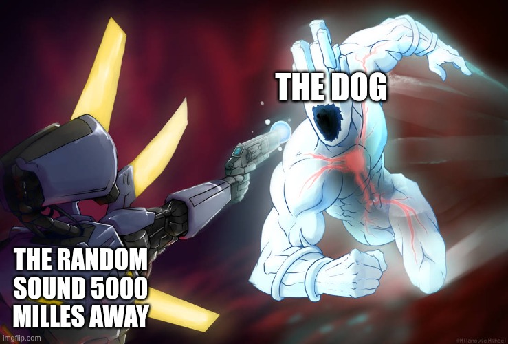 Prepare thyself | THE DOG THE RANDOM SOUND 5000 MILLES AWAY | image tagged in prepare thyself | made w/ Imgflip meme maker