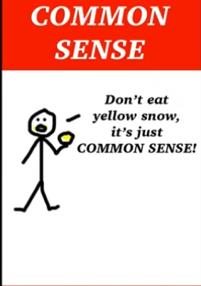 common sense Blank Meme Template