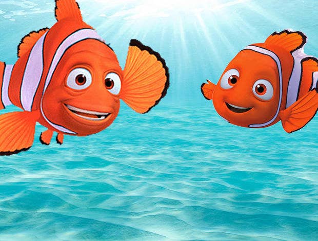 Rip nemo Blank Meme Template