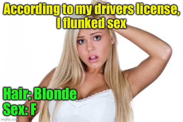 Dumb Blonde | According to my drivers license,
I flunked sex; Hair: Blonde
Sex: F | image tagged in dumb blonde,women drivers | made w/ Imgflip meme maker