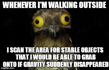 Weird Stuff I Do Potoo Meme | WHENEVER I'M WALKING OUTSIDE I SCAN THE AREA FOR STABLE OBJECTS THAT I WOULD BE ABLE TO GRAB ONTO IF GRAVITY SUDDENLY DISAPPEARED | image tagged in memes,weird stuff i do potoo,AdviceAnimals | made w/ Imgflip meme maker