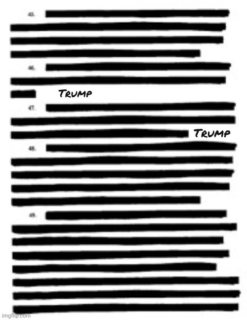 Redacted | Trump Trump | image tagged in redacted | made w/ Imgflip meme maker