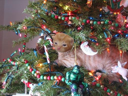 Merry Christmas Eve y'all | image tagged in christmas tree cat,herbert | made w/ Imgflip meme maker