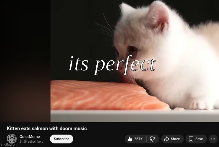 fire | its perfect | image tagged in cat,kitten,doom,youtube | made w/ Imgflip meme maker
