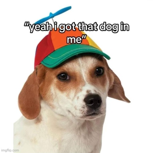 Bork! Bork! | image tagged in dawg | made w/ Imgflip meme maker