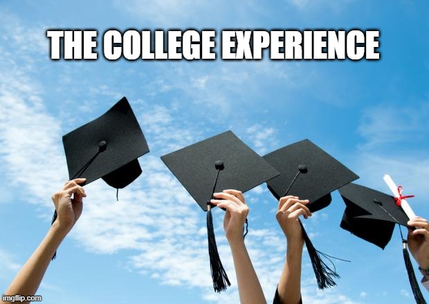 college graduation | THE COLLEGE EXPERIENCE | image tagged in college graduation | made w/ Imgflip meme maker