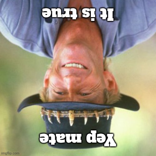 australianguy | It is true Yep mate | image tagged in australianguy | made w/ Imgflip meme maker
