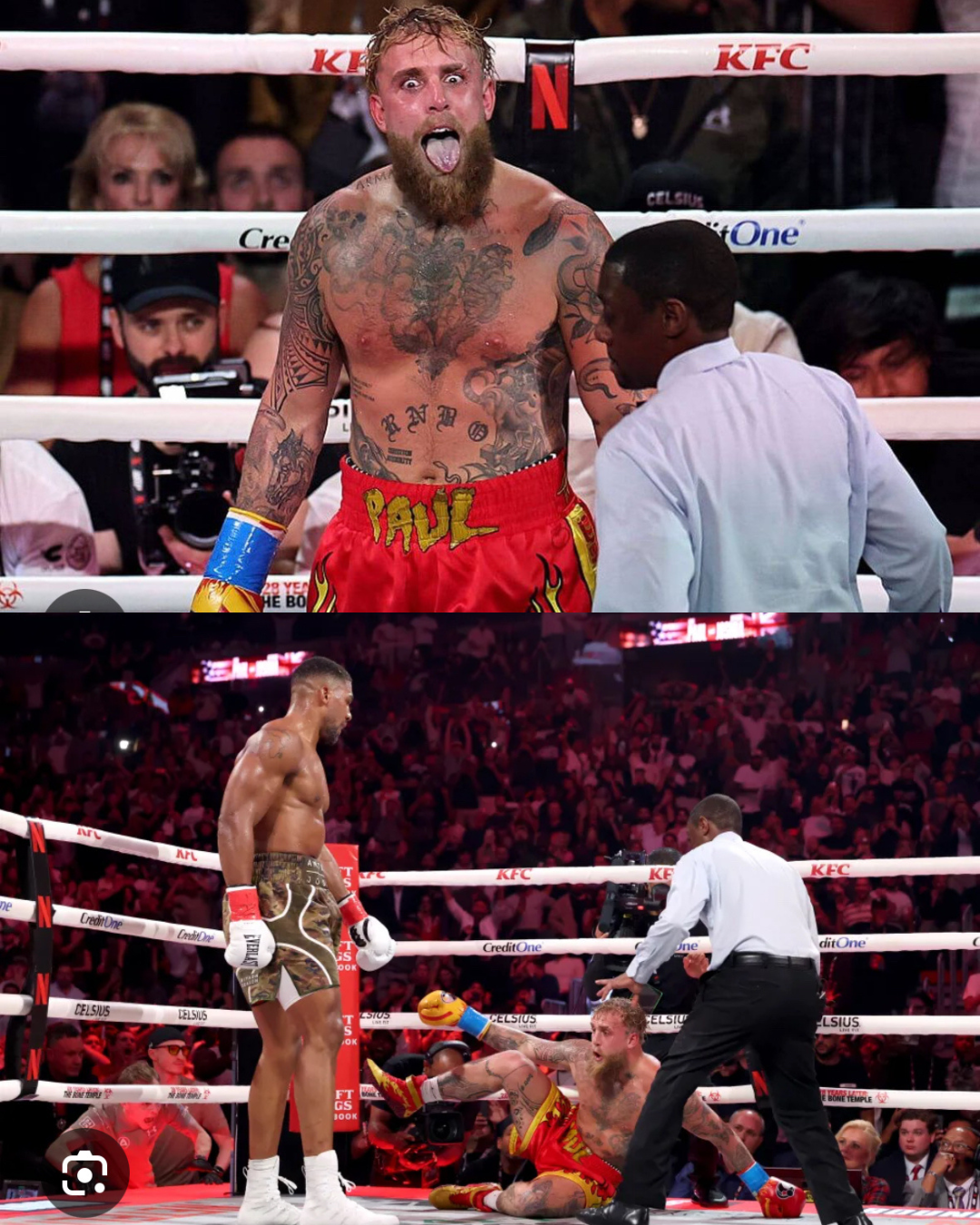 Jake Paul Knockout Blank Meme Template