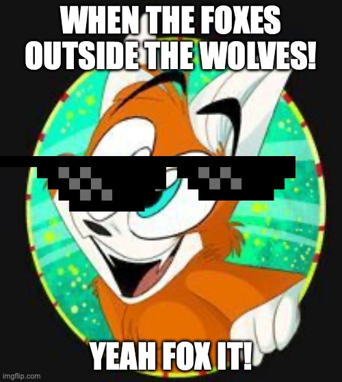 spam (zoophobia | WHEN THE FOXES OUTSIDE THE WOLVES! YEAH FOX IT! | image tagged in spam zoophobia | made w/ Imgflip meme maker