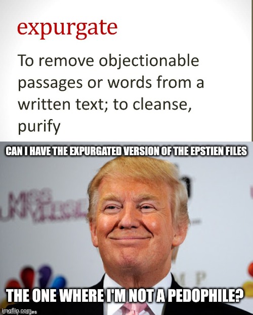 The epstein file, expurgated version | CAN I HAVE THE EXPURGATED VERSION OF THE EPSTIEN FILES; THE ONE WHERE I'M NOT A PEDOPHILE? | image tagged in donald trump approves | made w/ Imgflip meme maker