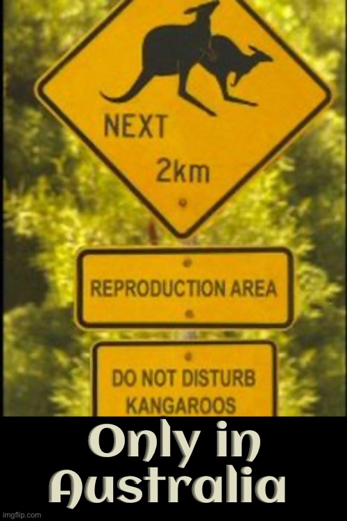 Signs In Australia | Only in Australia | image tagged in meanwhile in australia,kangaroo,animal crossing,disturbance in the force,excuse me wtf,funny signs | made w/ Imgflip meme maker
