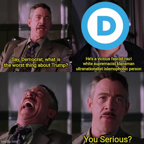 Me after hearing a dem's description (which is mostly just accusations) of Trump | He's a vicious fascist nazi white supremacist klansman ultranationalist islamophobic person; Say, Democrat, what is the worst thing about Trump? You Serious? | image tagged in you serious hd 4 panel square,memes | made w/ Imgflip meme maker