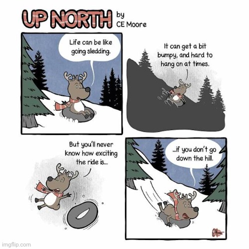 Sledding | image tagged in sledding,sled,tire,reindeer,comics,comics/cartoons | made w/ Imgflip meme maker