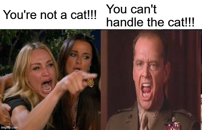 Not Even the Wrong Cat -- No Cat at All | You're not a cat!!! You can't handle the cat!!! | image tagged in memes,woman yelling at cat,you can't handle the truth | made w/ Imgflip meme maker