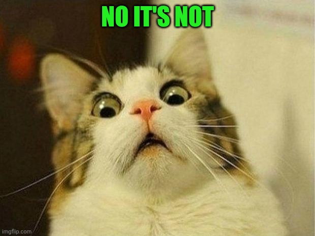 Scared Cat Meme | NO IT'S NOT | image tagged in memes,scared cat | made w/ Imgflip meme maker
