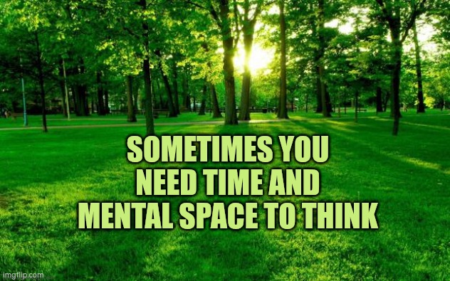 Sometimes you need time and mental space to think | SOMETIMES YOU NEED TIME AND MENTAL SPACE TO THINK | image tagged in grass and trees | made w/ Imgflip meme maker