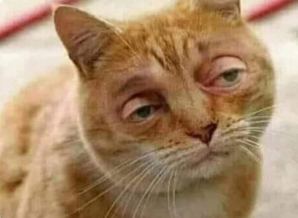 It was my fault Blank Meme Template