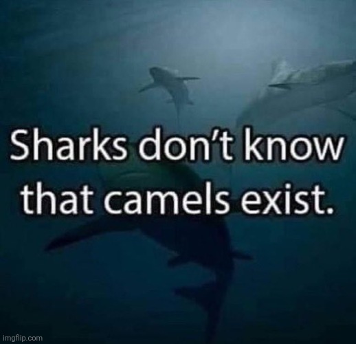 Scary fact | made w/ Imgflip meme maker