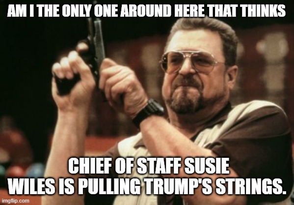 someone needs to confront this two Faced Bitch, She is playing him like a Puppet. | AM I THE ONLY ONE AROUND HERE THAT THINKS; CHIEF OF STAFF SUSIE WILES IS PULLING TRUMP'S STRINGS. | image tagged in memes,am i the only one around here,trump,white house | made w/ Imgflip meme maker