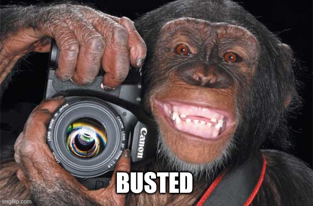Camera Monkey | BUSTED | image tagged in camera monkey | made w/ Imgflip meme maker