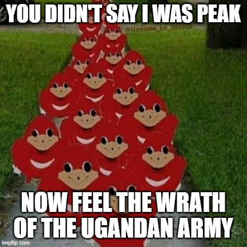 Ugandan knuckles army | YOU DIDN'T SAY I WAS PEAK NOW FEEL THE WRATH OF THE UGANDAN ARMY | image tagged in ugandan knuckles army | made w/ Imgflip meme maker
