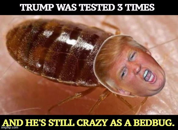 Trump after 3 tests pronounced crazy as a bedbug | TRUMP WAS TESTED 3 TIMES; AND HE'S STILL CRAZY AS A BEDBUG. | image tagged in trump after 3 tests pronounced crazy as a bedbug,trump,cognition,senile dementia,crazy,bedbugs | made w/ Imgflip meme maker